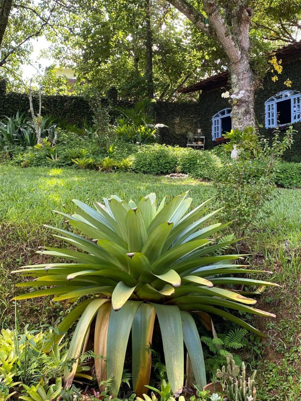 Pousada Casa Do Ipe Amarelo Miguel Pereira Εξωτερικό φωτογραφία